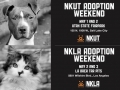 Best Friends Adoption
